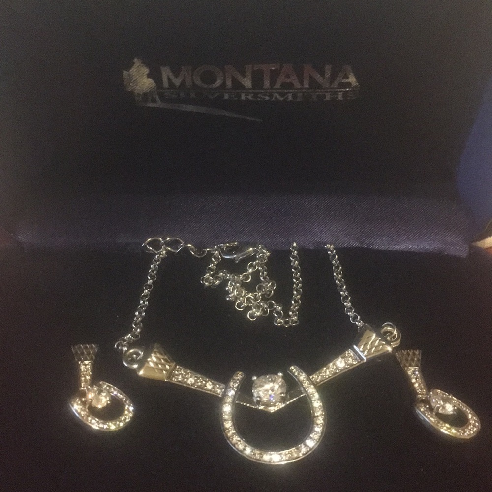 Montana silver necklace and earrings